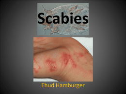 Scabies - Sheba Hungary Student