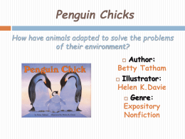 Story PowerPoint