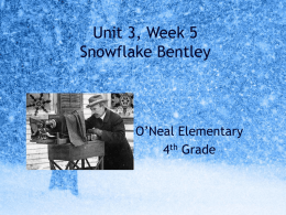 Snowflake Bentley By: Jacqueline Briggs Martin