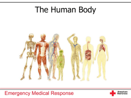 Human Body - davis.k12.ut.us