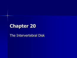 The Intervertebral Disk