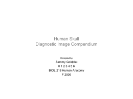 Hu Skull Image Compendium