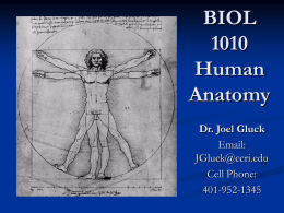 BIOL 1010 Human Anatomy