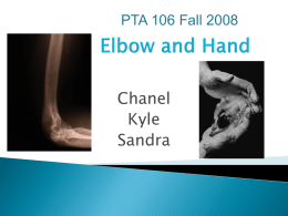 Elbow and Hand