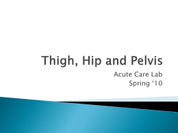 Chapter 4- Thigh, Hip and Pelvis