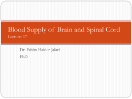 Blood Supply of Brain and Spinal Cord