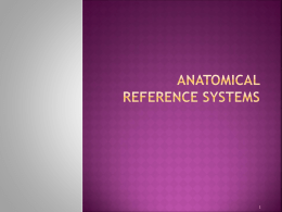 anatomical reference systems