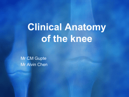 Clinical Anatomy of the knee