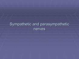 Sympathetic and Parasympathetic