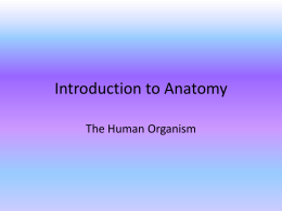 Introduction to Anatomy - Mt. Olive School District