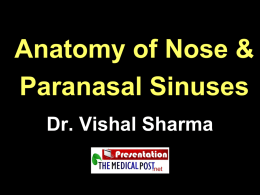 Anatomy of Nose & P.N.S. - The Medical Post | Trusting