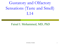 Gustatory and Olfactory Sensations (Taste and Smell)