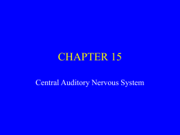 Neurophysiology - University of Florida