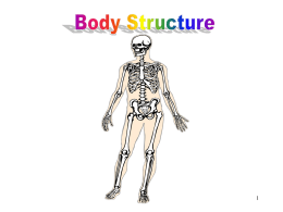 Body Structure - New Caney High School