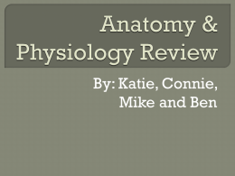 Anatomy and Physiology Review