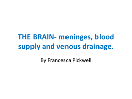 Layers and blood supply of the brain