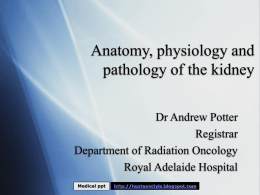 Anatomy, physiology and pathology of the respiratory