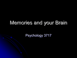 Memories and your Brain