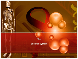 Skeletal System PowerPoint