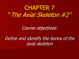 CHAPTER 7 “The Axial Skeleton #2” Course objectives: Define and