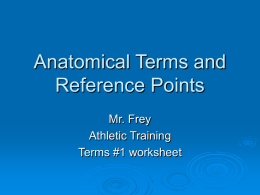 Anatomical Terms and Reference Points
