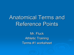 Lesson 1 Anatomical Terms and Reference Points