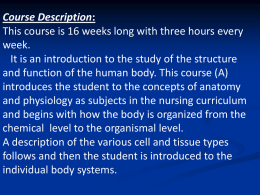 UNIT 1 – INTRODUCTION TO ANATOMY & PHYSIOLOGY