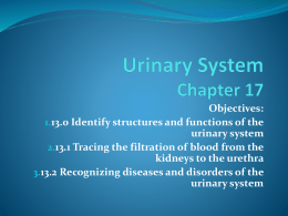 Urinary System Chapter 17