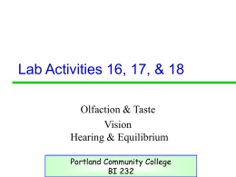Ativity 16, 17, 18 - PCC - Portland Community College