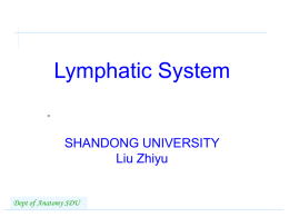 The Lymphatic System 淋巴系统