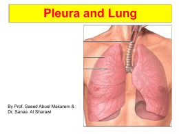 05 lung & pleura2012-01