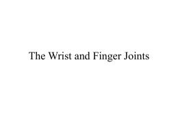 The Wrist and Hand Joints