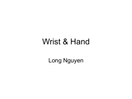 Wrist & Hand - members.iinet.com.au