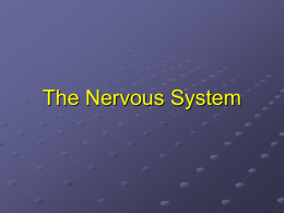NeuroReview1