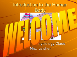 Introduction to the Body