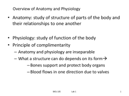 Overview of Anatomy and Physiology 5