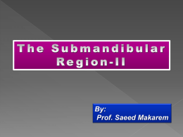 15-Submandibular Region-II2010-10