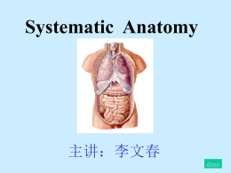 Systematic Anatomy