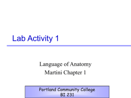 Ativity 1, 2, 3 - PCC - Portland Community College