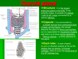 15. thyroid2010-10