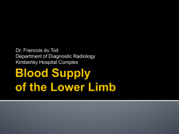 22.Arterial Supply of the Lower Limb