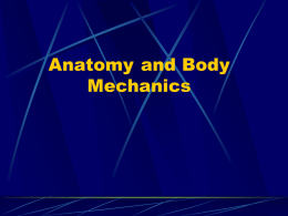 Anatomy Powerpoint