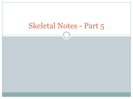 Skeletal Notes - Part 5