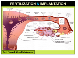 2-Fertilization & Implantationand twinning - Copy2015-09