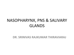 nasopharynx paranasal sinuses and salivary glands ppt