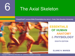 Axial skeleton PPT notes