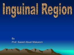 22-Inguinal_region2009-01