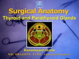 Surgical approaches and Landmarks