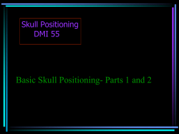 Basic skull parts 1 and 2