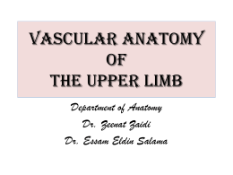 15 Vascular anatomy of the upper limb2010